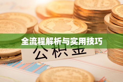 清涧全流程解析与实用技巧