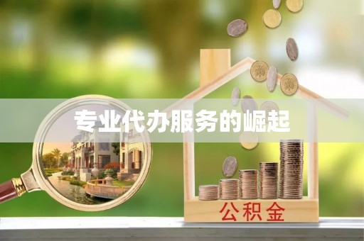 清涧专业代办服务的崛起
