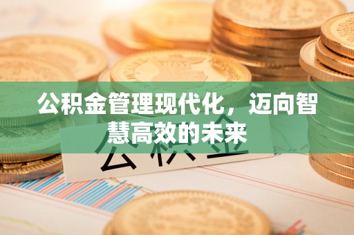 清涧公积金管理现代化，迈向智慧高效的未来