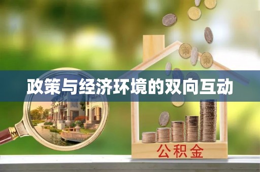 清涧政策与经济环境的双向互动